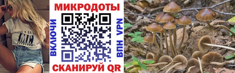 Галлюциногенные грибы GOLDEN TEACHER  сайты даркнета какой сайт  Курган  где можно купить  